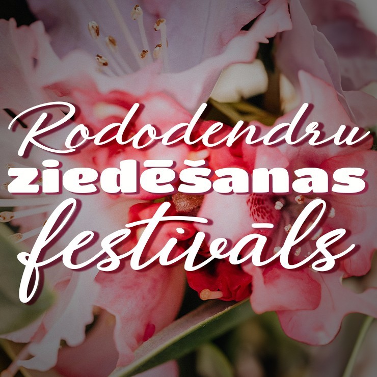 Izrādes "RODODENDRU ZIEDĒŠANAS FESTIVĀLS" attels