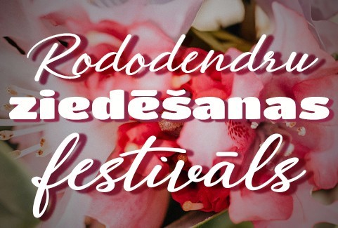 Izrādes "RODODENDRU ZIEDĒŠANAS FESTIVĀLS" attels