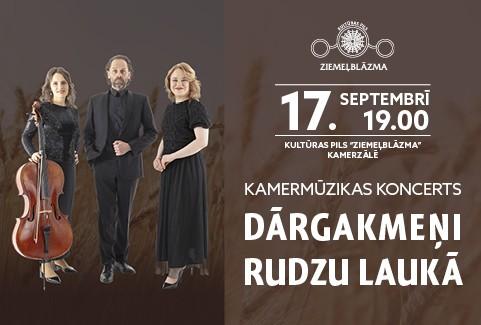 Izrādes "Koncerts | DĀRGAKMEŅI RUDZU LAUKĀ" attels