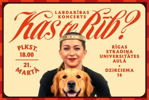 Izrādes "Labdarības koncerts "Kas te rīb?"" attels