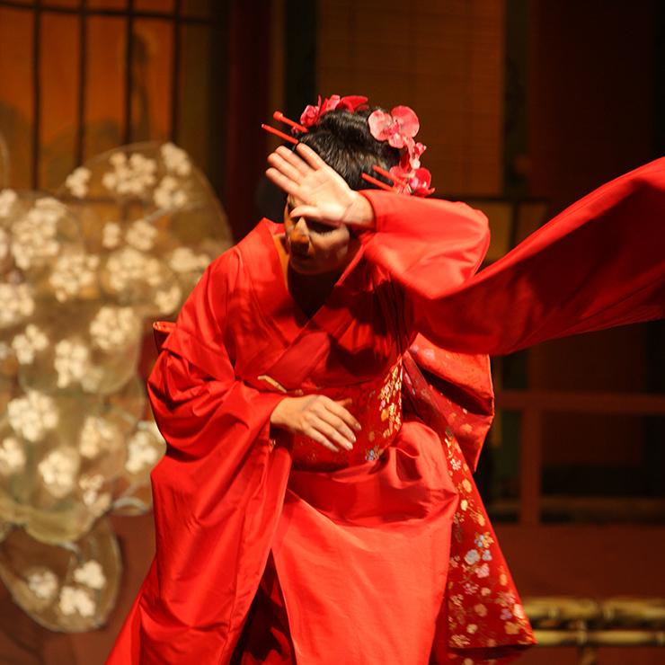 Izrādes "MADAMA BUTTERFLY" attels