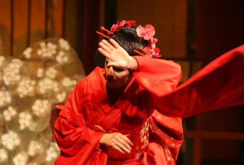 Image of the event "MADAMA BUTTERFLY"