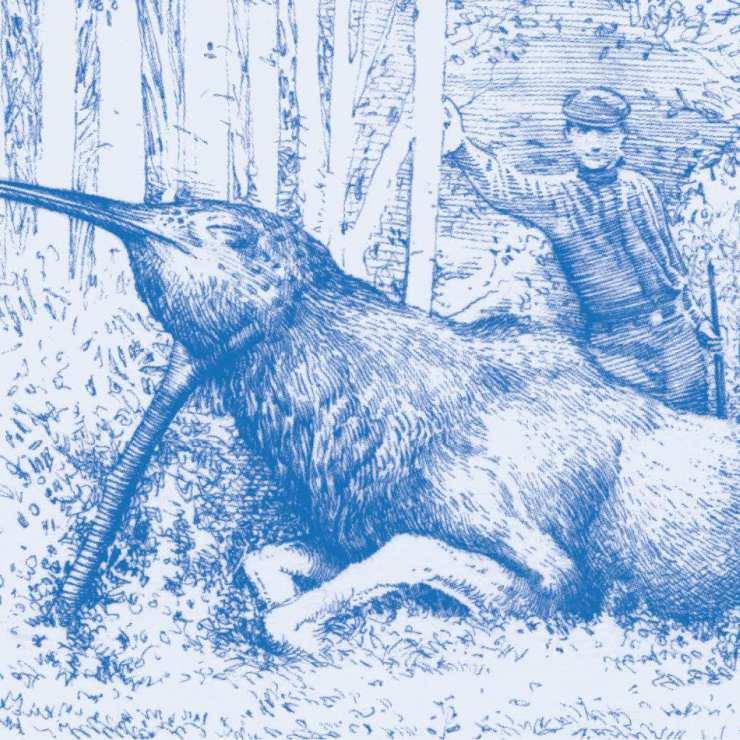 Izrādes "Zvērīgā mīla" attels