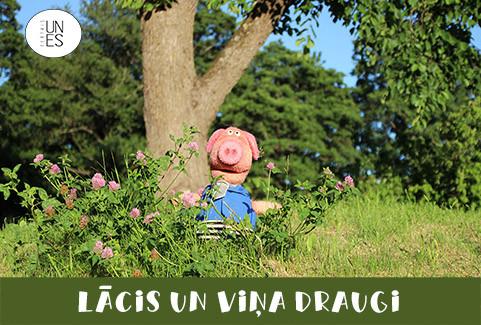 Galerijas bilde 3: LĀCIS UN VIŅA DRAUGI leļļu izrāde bērniem un vecākiem / TEĀTRIS UN ES