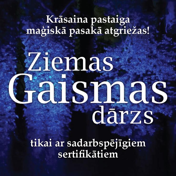 Izrādes "Distancēta pastaigu taka ZIEMAS GAISMAS DĀRZS (tikai ar sadarbspējīgiem sertifikātiem)" attels