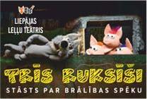 Meklēšanas rezultāta izrādes "IERAKSTS. TRĪS RUKSĪŠI. Stāsts par brālības spēku" attels