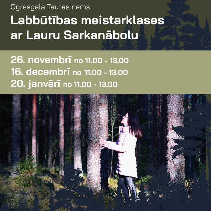 Izrādes "LABBŪTĪBAS MEISTRAKLASES ar LAURU SARKANĀBOLU" attels
