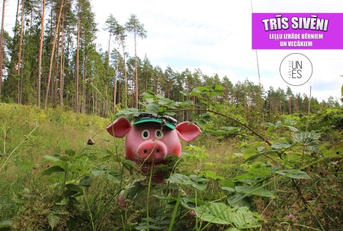 Galerijas bilde 1: TRĪS SIVĒNI leļļu izrāde bērniem un vecākiem | TEĀTRIS UN ES