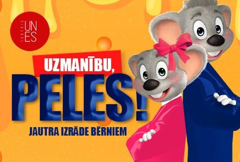 Izrādes "UZMANĪBU, PELES! jautra izrāde bērniem un vecākiem | TEĀTRIS UN ES" attels