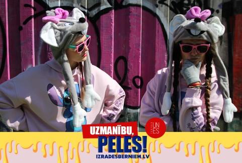 Galerijas bilde 1: UZMANĪBU, PELES! jautra izrāde bērniem un vecākiem | TEĀTRIS UN ES