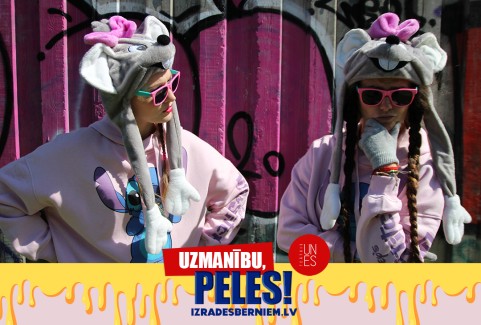 Galerijas bilde 1: UZMANĪBU, PELES! jautra izrāde bērniem un vecākiem | TEĀTRIS UN ES