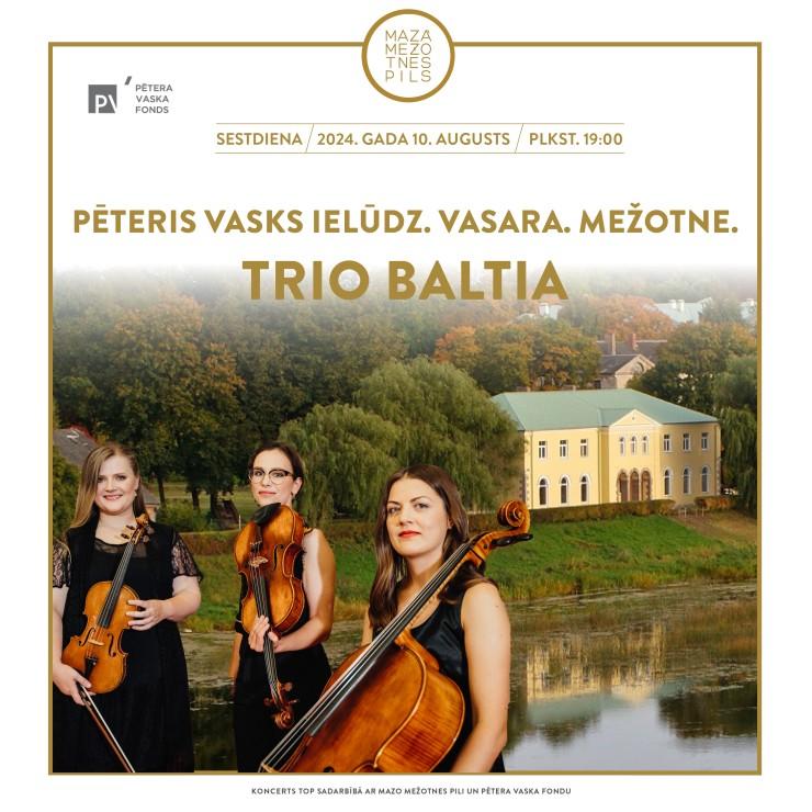 Izrādes "PETERIS VASKS IELŪDZ. VASARA. MEŽOTNE. TRIO BALTIA" attels