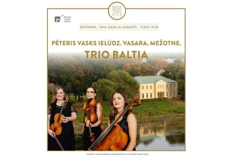 Izrādes "PETERIS VASKS IELŪDZ. VASARA. MEŽOTNE. TRIO BALTIA" attels