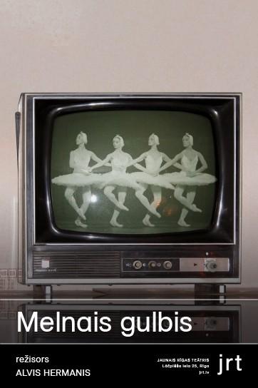 Meklēšanas rezultāta izrādes "MELNAIS GULBIS" attels