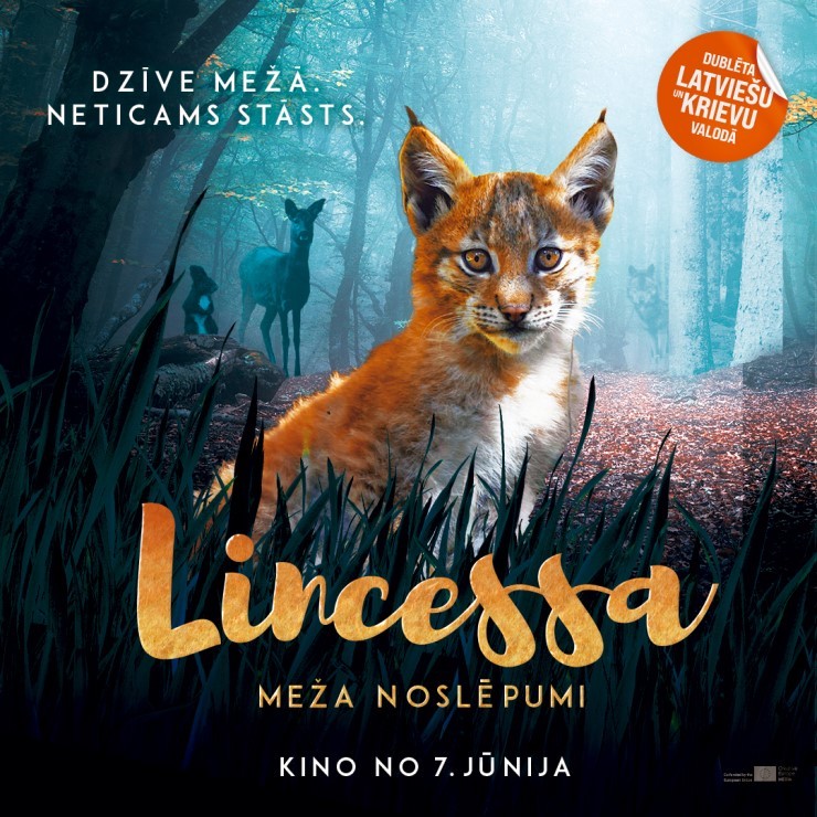 Izrādes "LINCESSA. MEŽA NOSLĒPUMI / LINCESSA. LOS SILENCIOS DEL BOSQUE" attels