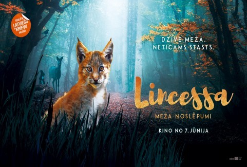 Izrādes "LINCESSA. MEŽA NOSLĒPUMI / LINCESSA. LOS SILENCIOS DEL BOSQUE" attels