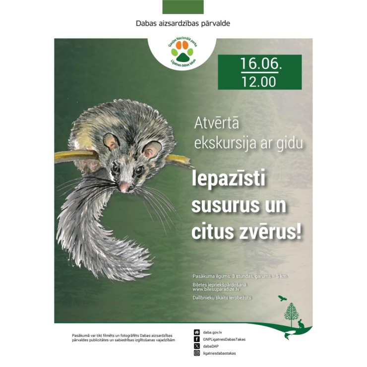 Izrādes "Līgatnes dabas takas | Iepazīsti susurus un citus zvērus!" attels