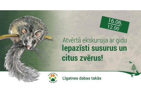 Izrādes "Līgatnes dabas takas | Iepazīsti susurus un citus zvērus!" attels