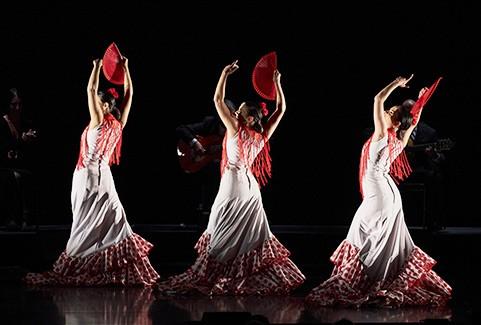 Image of the event "29. Starptautiskais Baltijas baleta festivāls | FLAMENCO SUITE / Antonio Andrade Compania Flamenca"