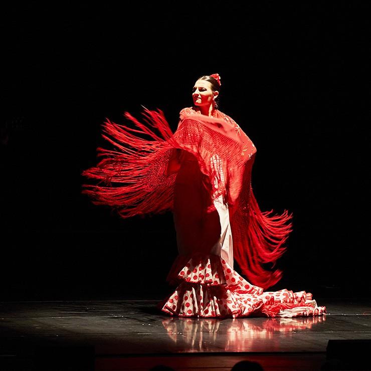Image of the event "29. Starptautiskais Baltijas baleta festivāls | FLAMENCO SUITE / Antonio Andrade Compania Flamenca"