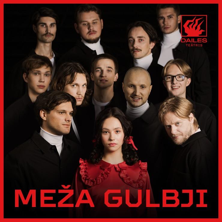 Izrādes "MEŽA GULBJI" attels