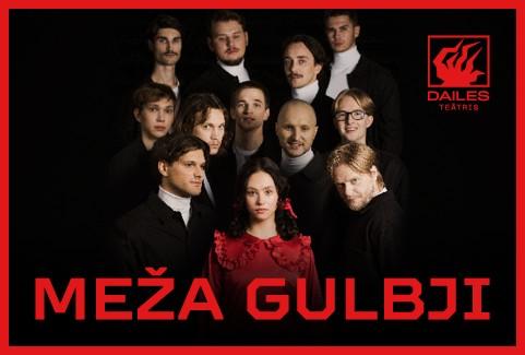 Izrādes "MEŽA GULBJI" attels