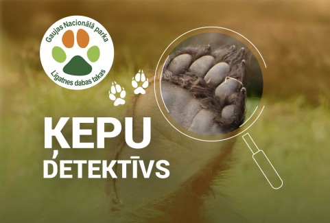 Izrādes "Ķepu detektīvs" attels