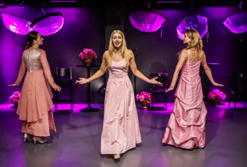 Galerijas bilde 7: TEĀTRA KARUSELIS | Teatrāla koncertprogramma
