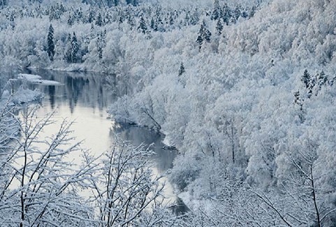 Izrādes "Deju kolektīva VIZBULĪTE un viņu draugu koncerts “Baltās ziemas deju virpulī”" attels