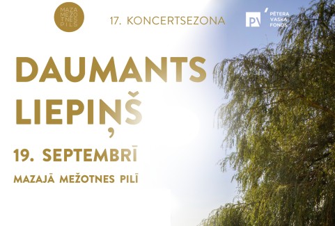 Izrādes "Daumants Liepiņš. Solokoncerts" attels
