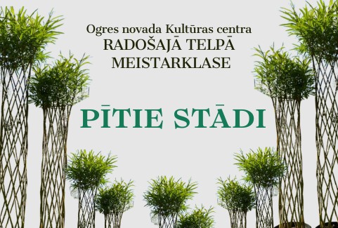 Izrādes "Meistarklase PĪTIE STĀDI" attels