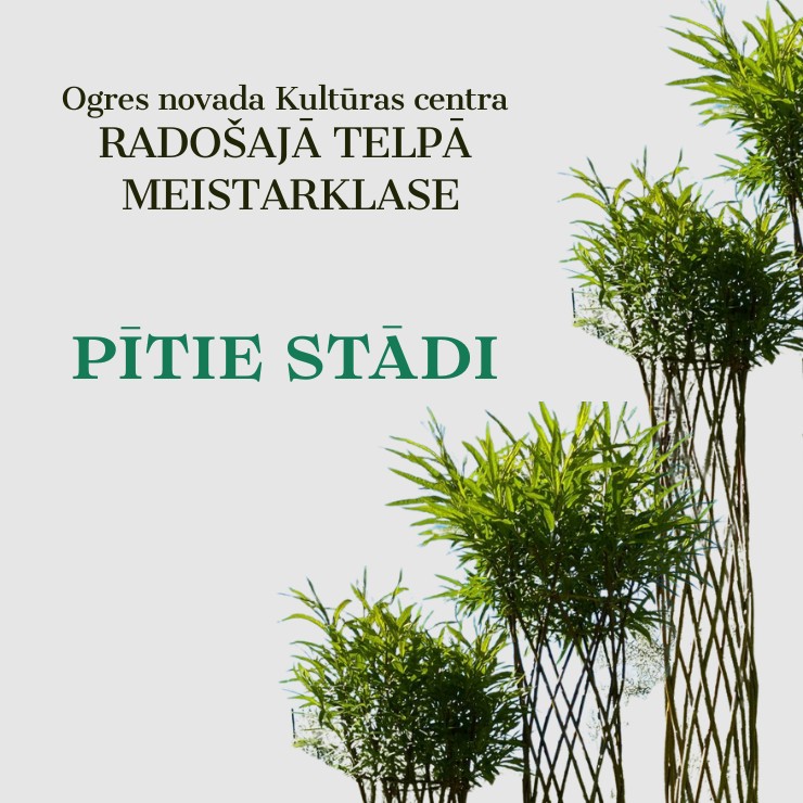 Izrādes "Meistarklase PĪTIE STĀDI" attels