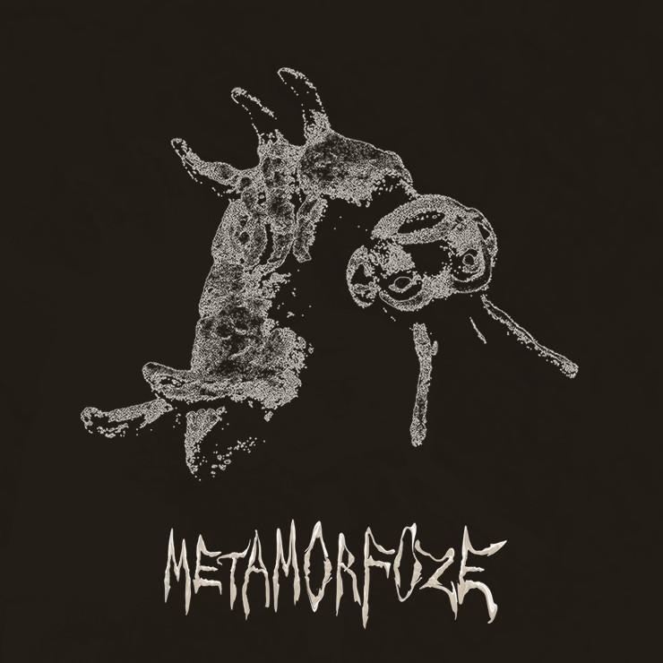 Izrādes "METAMORFOZE" attels