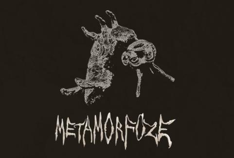 Izrādes "METAMORFOZE" attels