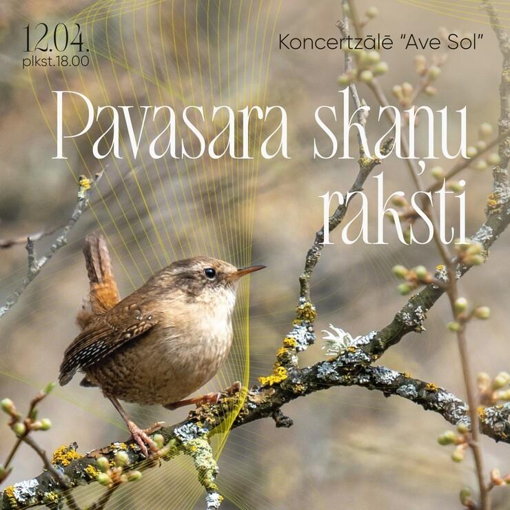 Izrādes "Koncerts “Pavasara skaņu raksti”" attels