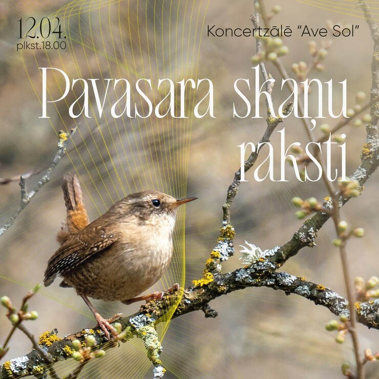 Izrādes "Koncerts “Pavasara skaņu raksti”" attels