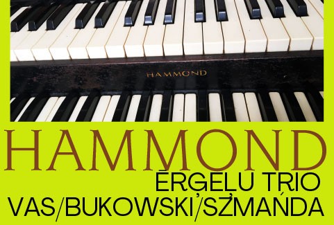 Izrādes "Hammond ērģeļu trio Vas/Bukowski/Szmańda (Polija)" attels