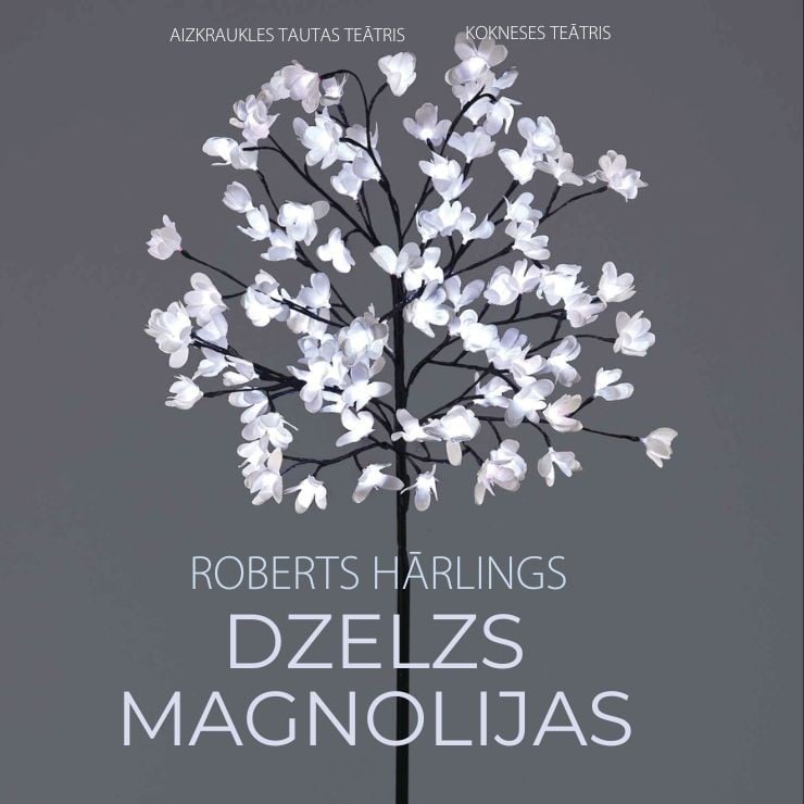 Izrādes "Roberts Hārlings “DZELZS MAGNOLIJAS”" attels