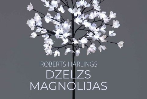Izrādes "Roberts Hārlings “DZELZS MAGNOLIJAS”" attels