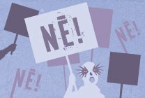 Meklēšanas rezultāta izrādes "Nē! Nē! Nē!" attels