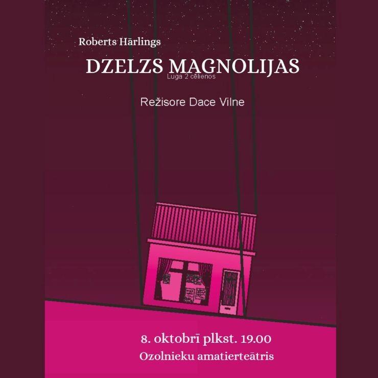 Izrādes "Ozolnieku amatierteātra izrāde R. Hārlings “Dzelzs magnolijas”" attels