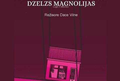Izrādes "Ozolnieku amatierteātra izrāde R. Hārlings “Dzelzs magnolijas”" attels