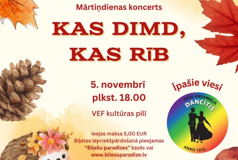 Izrādes "Mārtiņdienas koncerts “Kas dimd, kas rīb” | Knīpas un Knauķi" attels