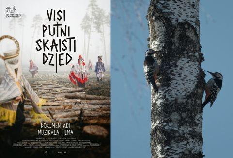 Izrādes "Kinoseanss | VISI PUTNI SKAISTI DZIED" attels