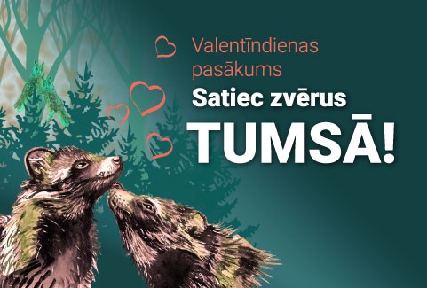 Izrādes "Vakara pārgājiens | Satiec zvērus TUMSĀ!" attels