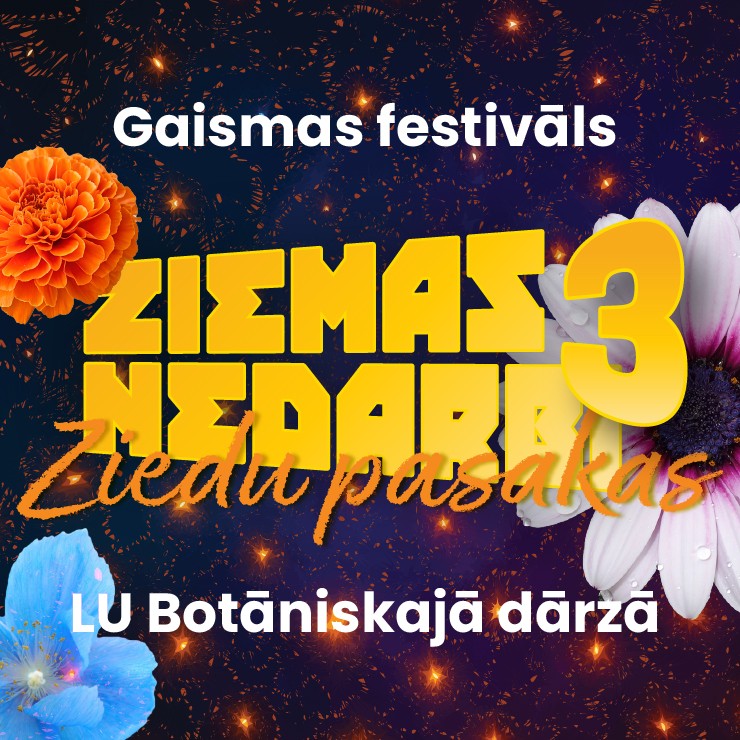 Izrādes "Gaismas festivāls “Ziemas nedarbi 3. ZIEDU PASAKAS”" attels