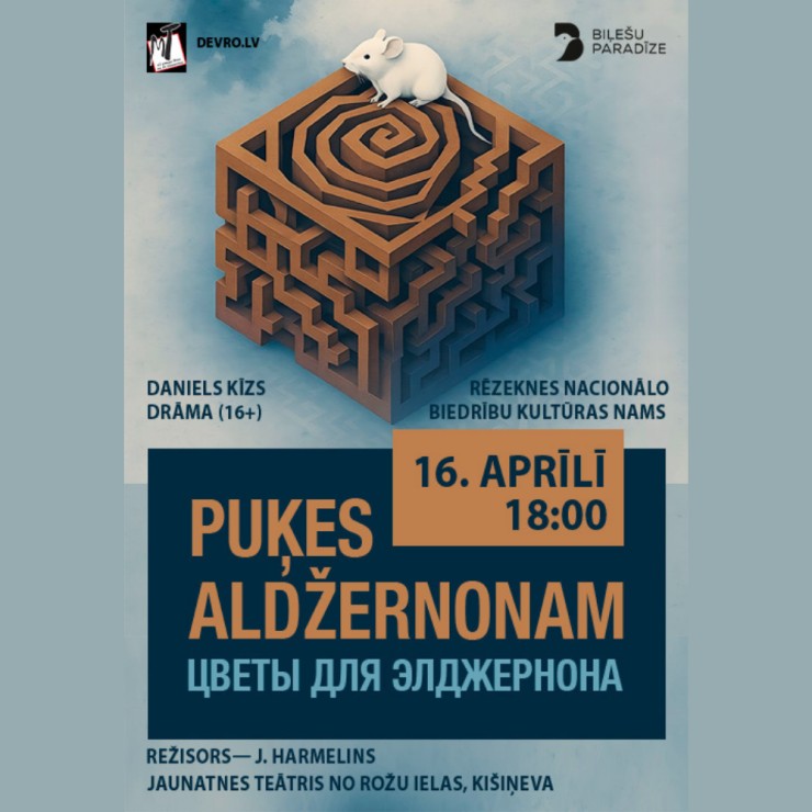Изображение спектакля "Puķes Aldžernonam"
