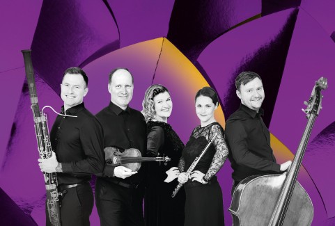 Izrādes "LNSO VASARNĪCA. BAROKS UN TANGO. KAMERMŪZIKA" attels