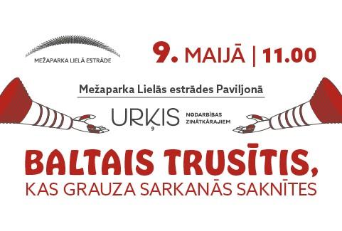 Izrādes "URĶIS | RADOŠĀ DARBNĪCA | Baltais trusītis, kas grauza sarkanās saknītes" attels