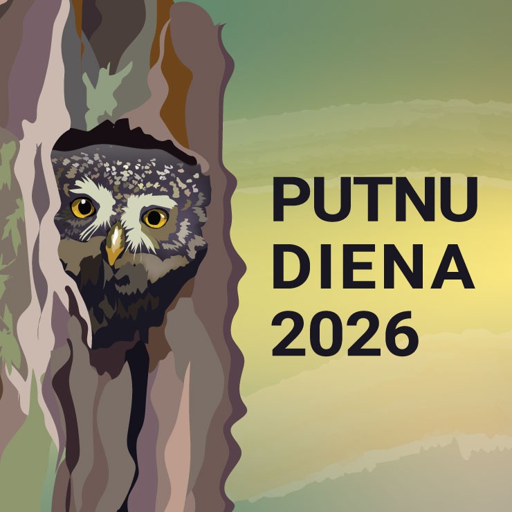 Izrādes "Putnu diena 2026 | Līgatnes dabas takas" attels
